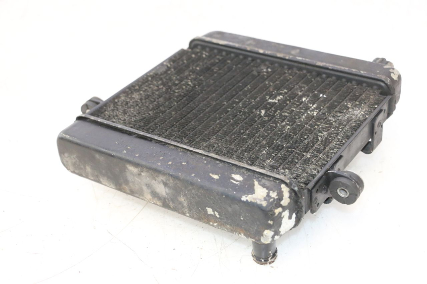 photo de RADIATEUR HONDA FES PANTHEON 2T 125 (1998 - 2002) - Overzicht