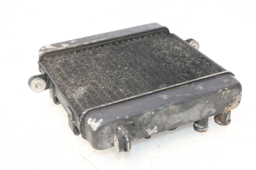 photo de RADIATEUR HONDA FES PANTHEON 2T 125 (1998 - 2002) - Bevestigingspunten