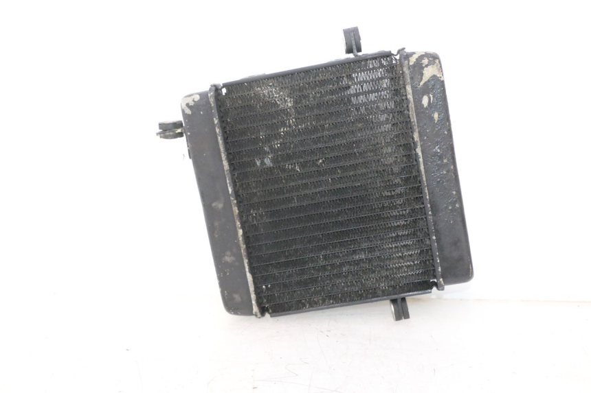 photo de RADIATEUR HONDA FES PANTHEON 2T 125 (1998 - 2002) - Staat van het oppervlak
