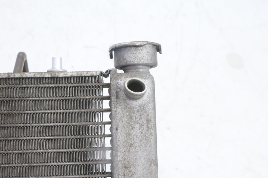 photo de RADIATEUR HONDA FES PANTHEON 125 (2003 - 2007) - Detail van het onderdeel