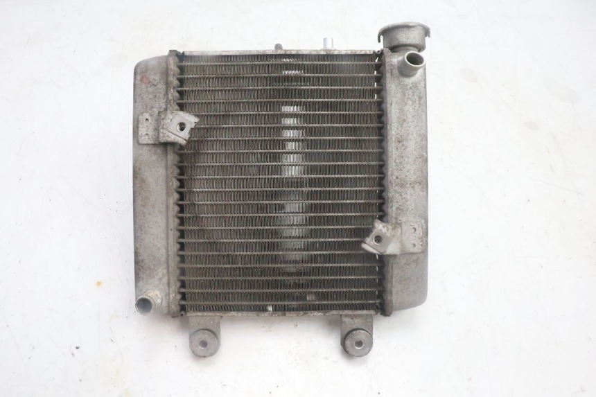 photo de RADIATEUR HONDA FES PANTHEON 125 (2003 - 2007) - Zoom op gebruiksstaat