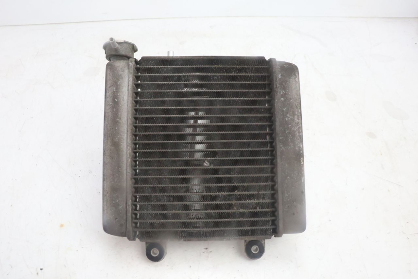 photo de RADIATEUR HONDA FES PANTHEON 125 (2003 - 2007) - Andere kijkhoek