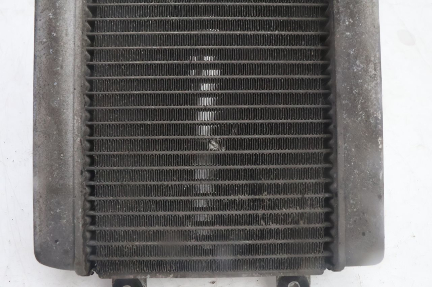 photo de RADIATEUR HONDA FES PANTHEON 125 (2003 - 2007) - Technische close-up