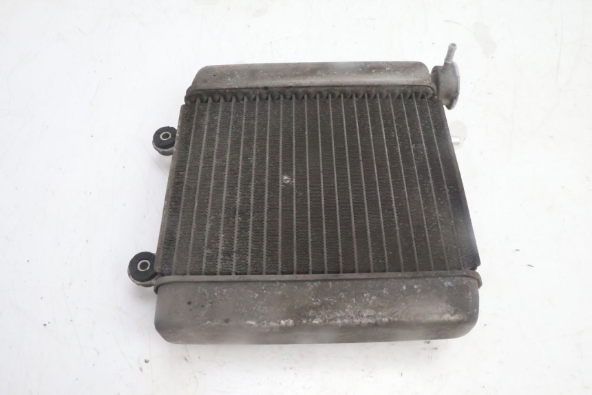 photo de RADIATEUR HONDA FES PANTHEON 125 (2003 - 2007) - Overzicht