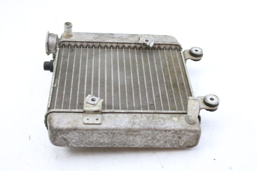 photo de RADIATEUR HONDA FES S-WING SWING ABS 125 (2007 - 2015) - Zoom op gebruiksstaat
