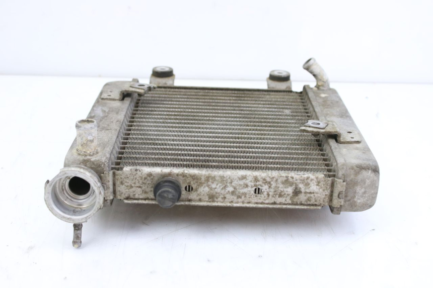 photo de RADIATEUR HONDA FES S-WING SWING ABS 125 (2007 - 2015) - Technische close-up