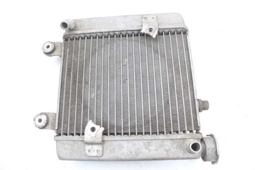 photo de RADIATEUR HONDA FES S-WING SWING ABS 125 (2007 - 2015) - Hoofdaanzicht