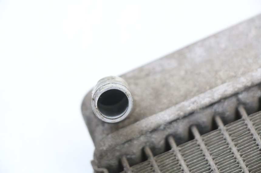 photo de RADIATEUR HONDA FES S-WING SWING ABS 125 (2007 - 2015) - Technische close-up