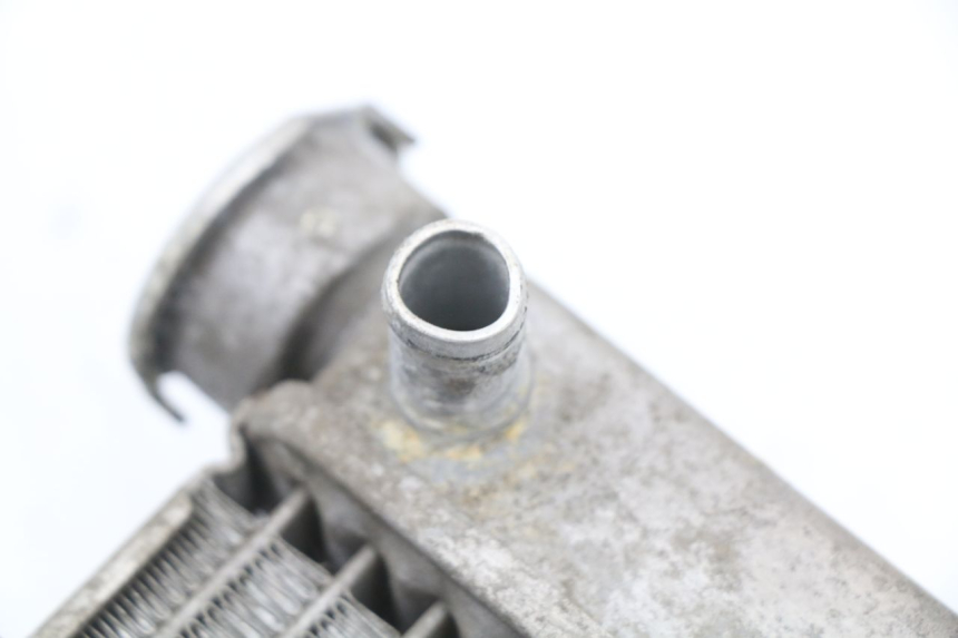 photo de RADIATEUR HONDA FES S-WING SWING ABS 125 (2007 - 2015) - Overzicht