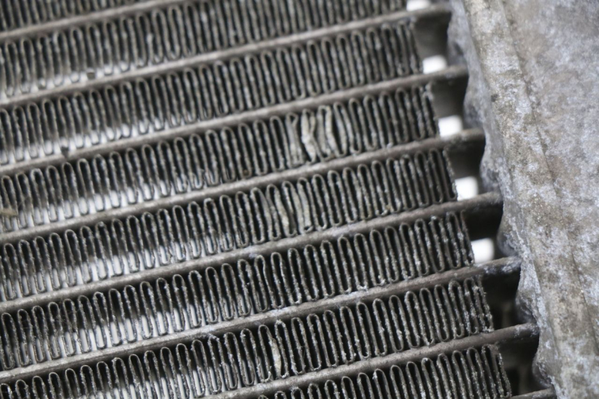 photo de RADIATEUR HONDA FES S-WING SWING ABS 125 (2007 - 2015) - Gecontroleerd onderdeel