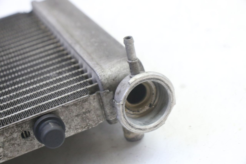 photo de RADIATEUR HONDA FES S-WING SWING ABS 125 (2007 - 2015) - Zoom op gebruiksstaat