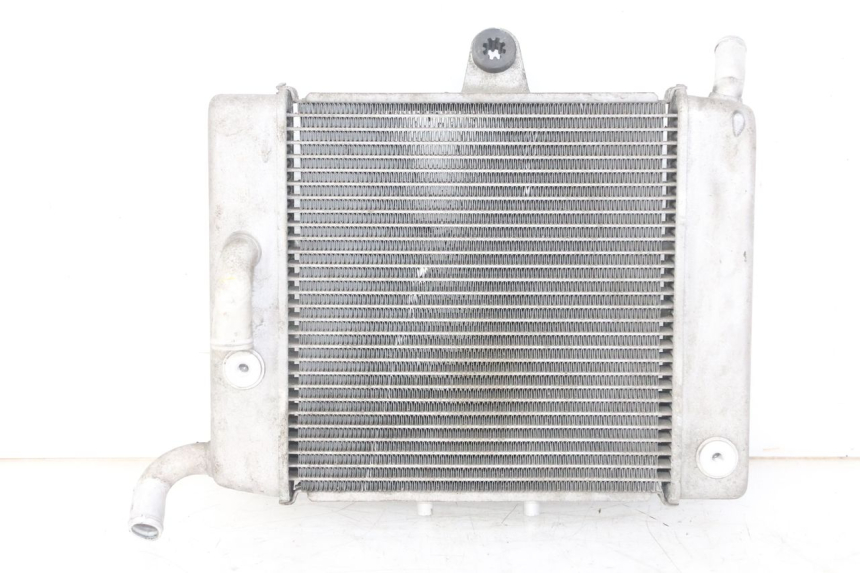 photo de RADIATEUR HONDA FORZA ABS 300 (2013 - 2017) - Hoofdaanzicht