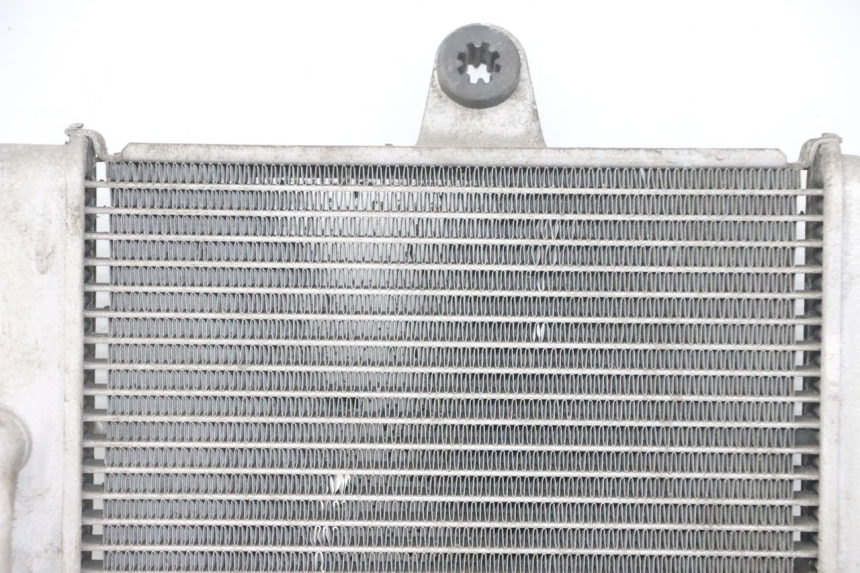 photo de RADIATEUR HONDA FORZA ABS 300 (2013 - 2017) - Zoom op componenten