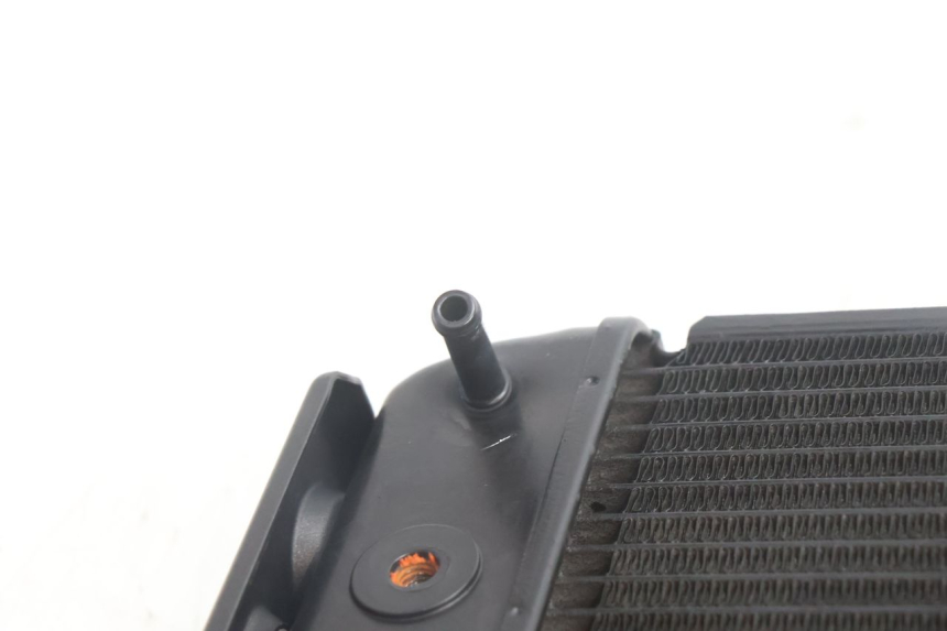 photo de RADIATEUR YAMAHA FZ8 800 (2010 - 2016) - Productaanzicht