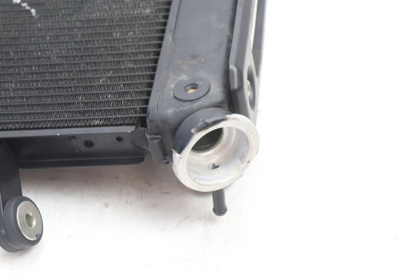 photo de RADIATEUR YAMAHA FZ8 800 (2010 - 2016) - Overzicht