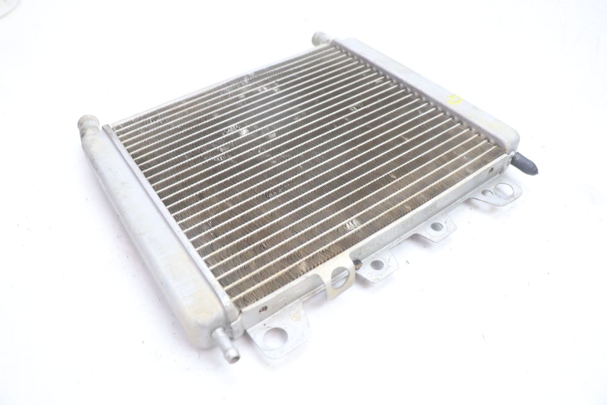 photo de LINKER RADIATEUR BOOM TRIKE FUN 500 (2004 - 2010) - Kenmerkende details