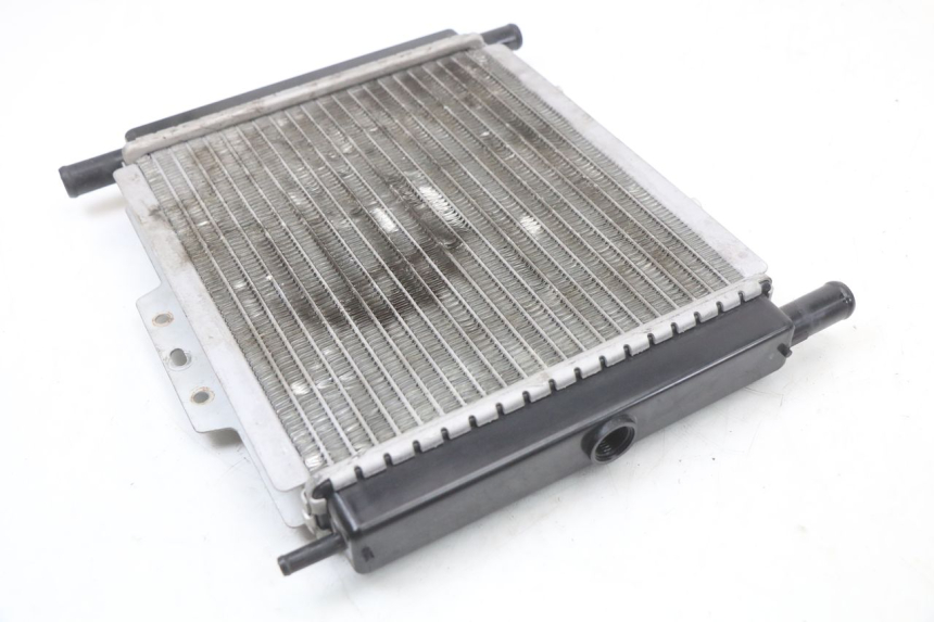 photo de RADIATEUR PEUGEOT GEOPOLIS RS 125 (2007 - 2009) - Zoom op gebruiksstaat