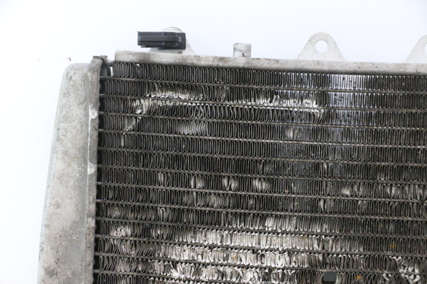 photo de RADIATEUR GILERA GP 800 (2007 - 2013) - Technische close-up