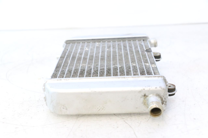 photo de RADIATEUR NECO GPX LC 2T 50 (2014 - 2018) - Productaanzicht