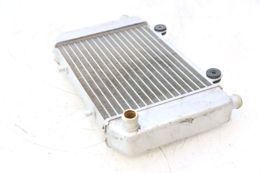 photo de RADIATEUR NECO GPX LC 2T 50 (2014 - 2018) - Staat van het oppervlak