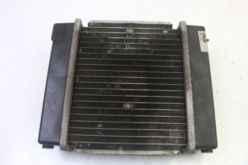 photo de RADIATEUR KYMCO GRAND DINK 125 (2008 - 2014) - Overzicht