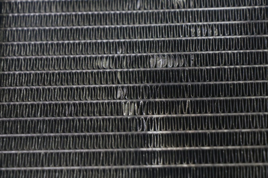 photo de RADIATEUR KYMCO GRAND DINK 125 (2002 - 2007) - Kenmerkende details