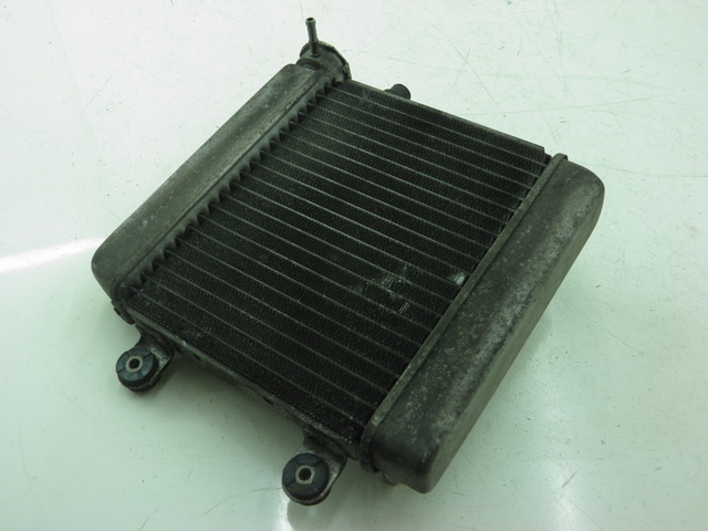 photo de RADIATEUR HONDA FES S-WING SWING 125 (2007 - 2015) - Hoofdaanzicht