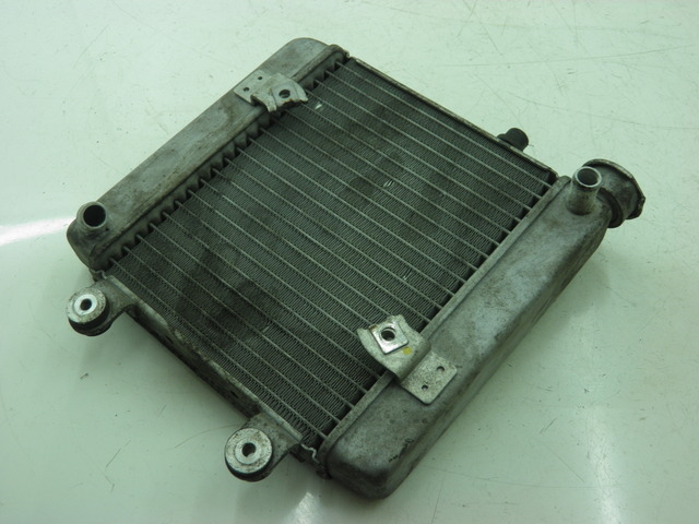 photo de RADIATEUR HONDA FES S-WING SWING 125 (2007 - 2015) - Zoom op gebruiksstaat