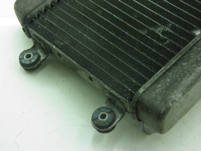 photo de RADIATEUR HONDA FES S-WING SWING 125 (2007 - 2015) - Andere kijkhoek