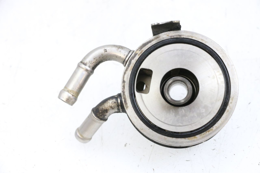 photo de OLIERADIATEUR SUZUKI BURGMAN EXECUTIVE ABS 650 (2006 - 2012) - Andere kijkhoek