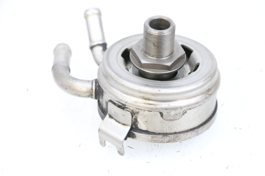 photo de OLIERADIATEUR SUZUKI BURGMAN EXECUTIVE ABS 650 (2006 - 2012) - Overzicht