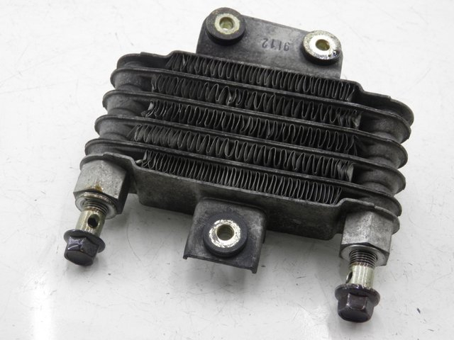 photo de OLIERADIATEUR DAELIM VJ ROADWIN 125 (2008 - 2010) - Detail van het onderdeel