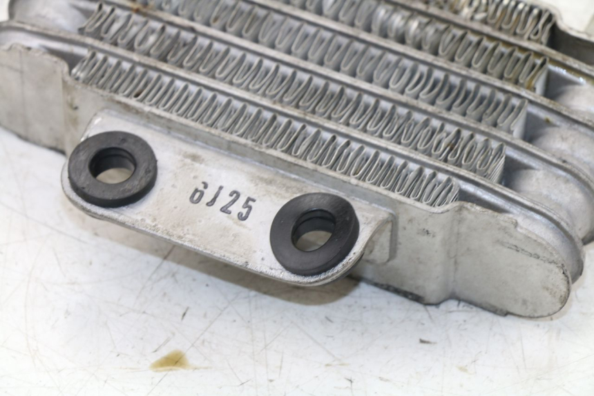 photo de OLIERADIATEUR DAELIM VJ ROADWIN 125 (2004 - 2007) - Detail van het onderdeel