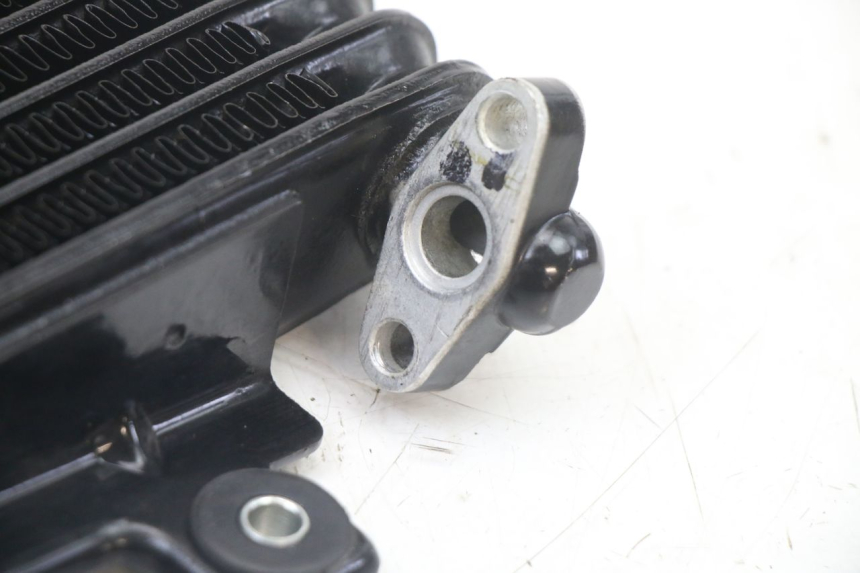 photo de OLIERADIATEUR ROYAL ENFIELD HYMALAYAN 410 (2016 - 2023) - Overzicht