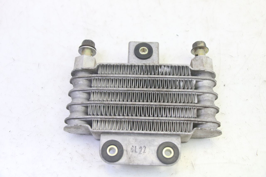 photo de OLIERADIATEUR DAELIM S1 125 (2007 - 2016) - Technische close-up