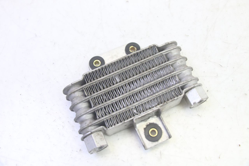 photo de OLIERADIATEUR DAELIM VJ ROADWIN FI 125 (2008 - 2017) - Markeringen en referenties