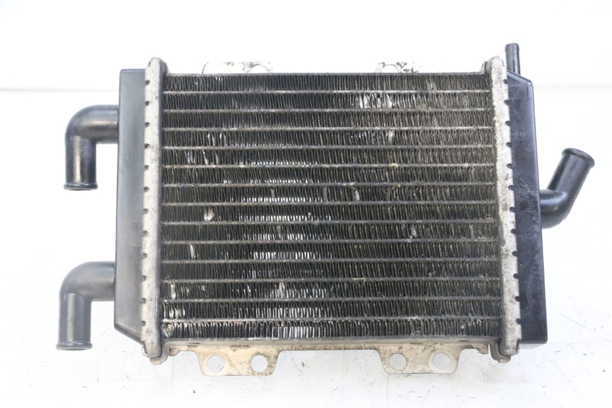 photo de RADIATEUR PEUGEOT JET FORCE CARBU 50 (2003 - 2016) - Kenmerkende details