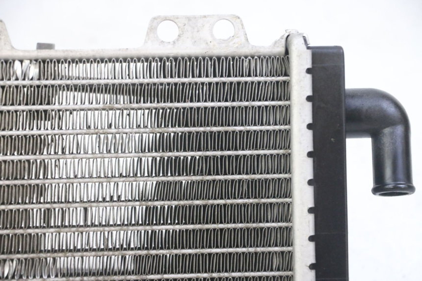 photo de RADIATEUR PEUGEOT JET FORCE CARBU 50 (2003 - 2016) - Detailaanzicht