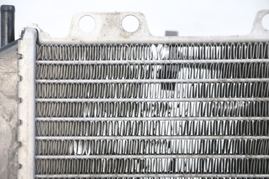 photo de RADIATEUR PEUGEOT JET FORCE CARBU 50 (2003 - 2016) - Aanvullende foto