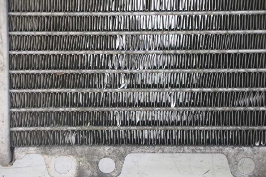 photo de RADIATEUR PEUGEOT JET FORCE CARBU 50 (2003 - 2016) - Visuele inspectie