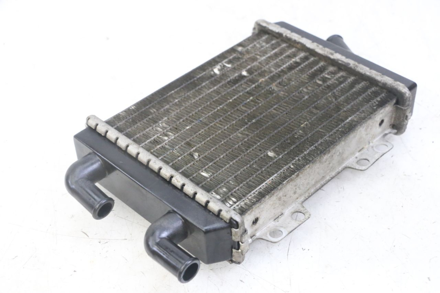 photo de RADIATEUR PEUGEOT JET FORCE CARBU 50 (2003 - 2016) - Overzicht