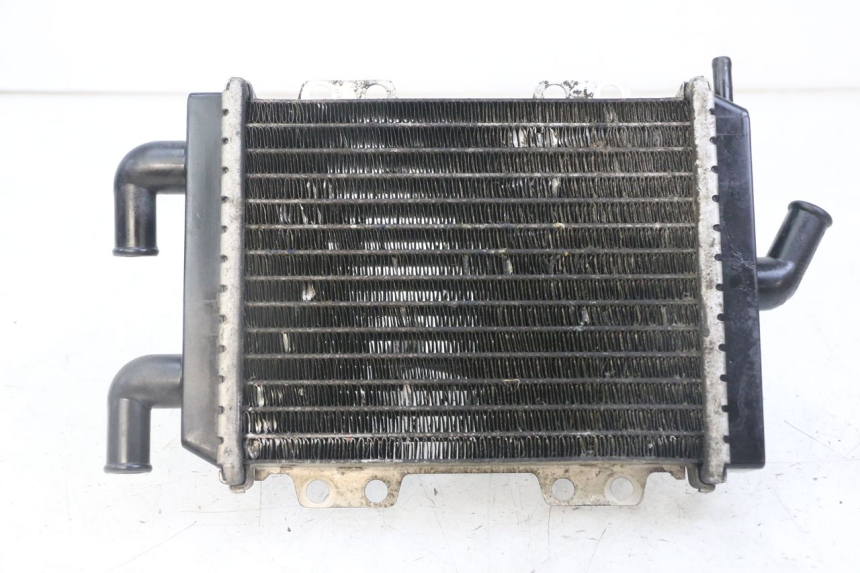 photo de RADIATEUR PEUGEOT JET FORCE CARBU 50 (2003 - 2016) - Bevestigingspunten
