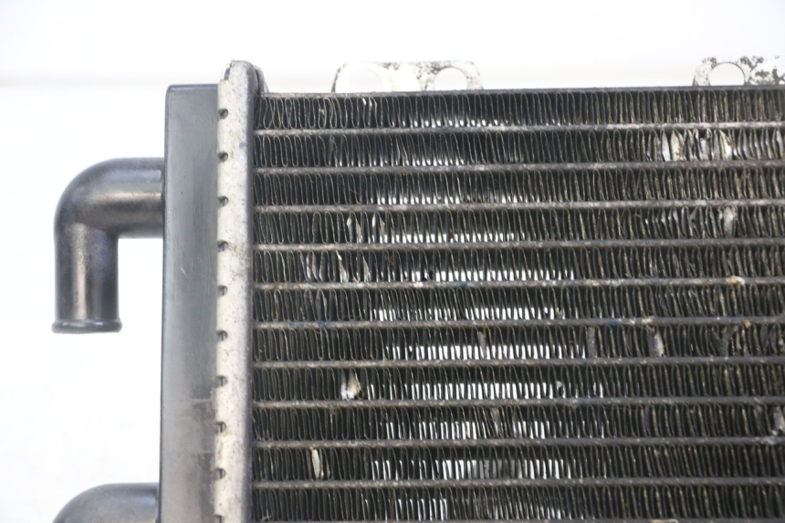 photo de RADIATEUR PEUGEOT JET FORCE CARBU 50 (2003 - 2016) - Staat van het oppervlak