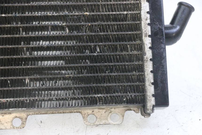 photo de RADIATEUR PEUGEOT JET FORCE CARBU 50 (2003 - 2016) - Markeringen en referenties