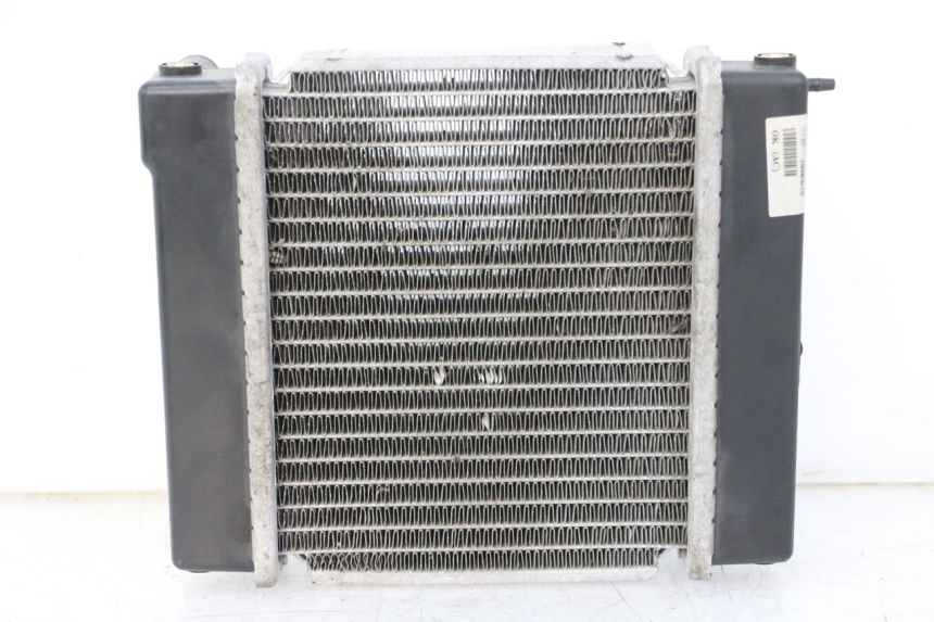 photo de RADIATEUR KYMCO GRAND DINK 125 (2008 - 2014) - Hoofdaanzicht