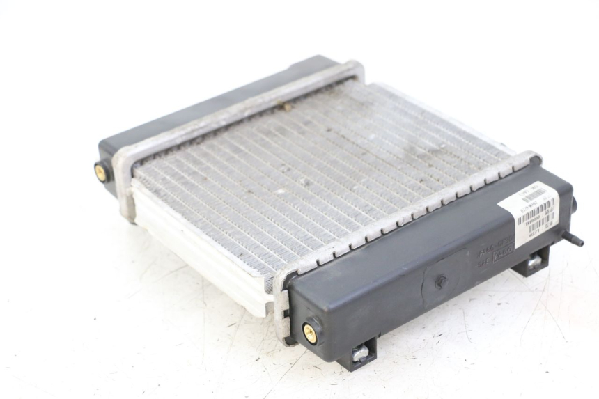 photo de RADIATEUR KYMCO GRAND DINK 125 (2008 - 2014) - Zoom op gebruiksstaat