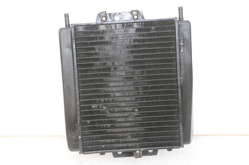 photo de RADIATEUR PIAGGIO MP3 LT 300 (2010 - 2016) - Hoofdaanzicht