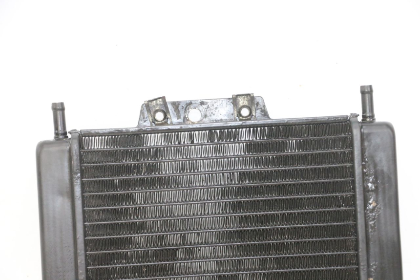 photo de RADIATEUR PIAGGIO MP3 LT 300 (2010 - 2016) - Productaanzicht