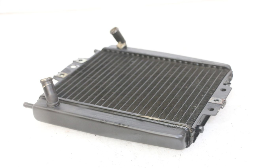 photo de RADIATEUR PIAGGIO MP3 LT 300 (2010 - 2016) - Technische close-up