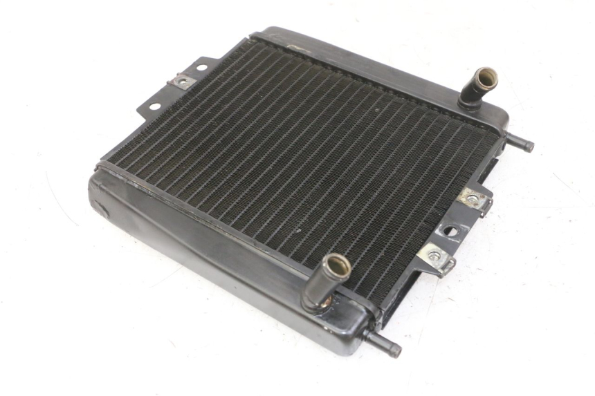 photo de RADIATEUR PIAGGIO MP3 LT 300 (2010 - 2016) - Overzicht